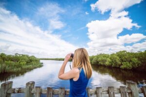 Circuit dans la ville du Teich au Bassin d'Arcachon