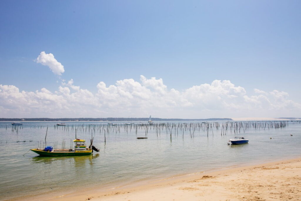 Déjeuner avec vue au Pinasse Café