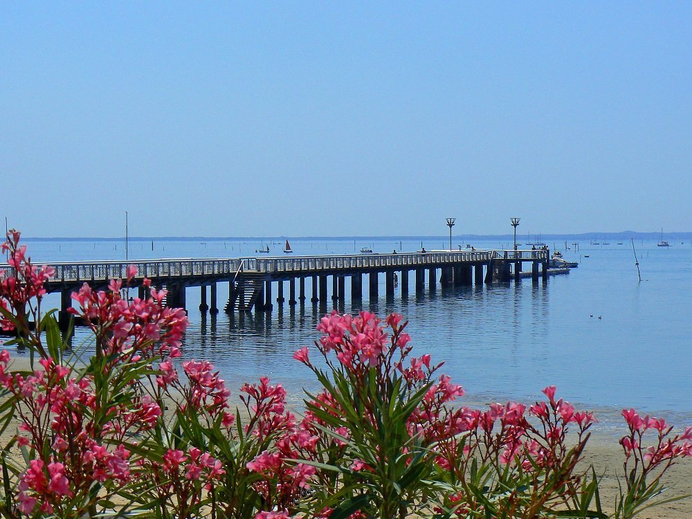 Nos chambres d'hôtes à Lanton - Jetee andernos les bains bassin arcachon - Bassin d'Arcachon