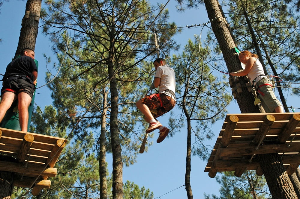 Cœur du Bassin - Parcours dans les arbres bassin arcachon - Bassin d'Arcachon