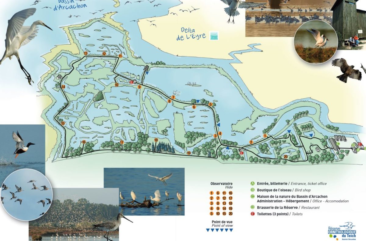La réserve ornithologique du Teich - Plan Réserve ornithologique Le Teich - Bassin d'Arcachon
