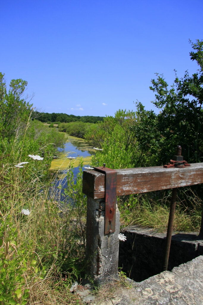 Les Prés Salés Arès-Lège