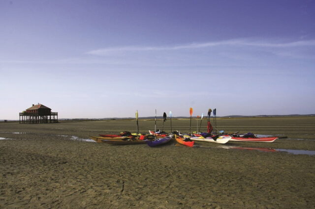 Les Cabanes tchanquées de l'île aux Oiseaux - kayak de mer cabane tchanquée - Bassin d'Arcachon