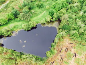 Cœur du Bassin - marais de Mesple Audenge - Bassin d'Arcachon