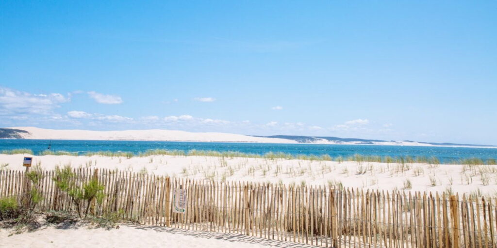 Nos 5 bonnes résolutions