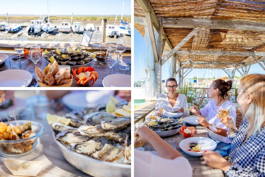 Dégustation d'huitres chez Perlostrea