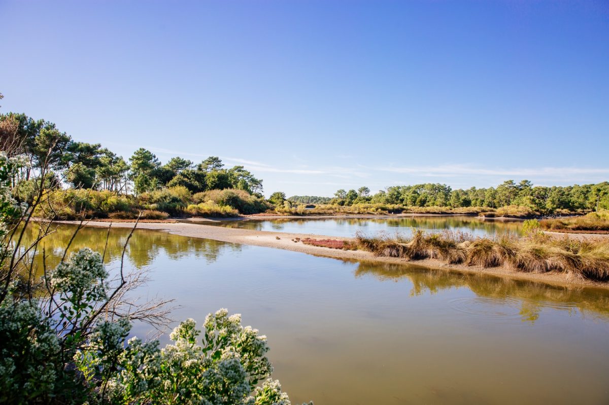 3 balades automnales autour du Bassin - quinconces andernos - Bassin d'Arcachon