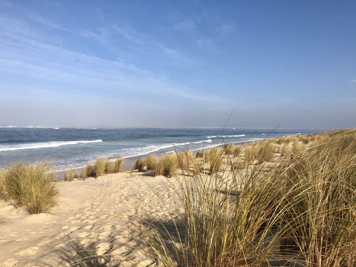 10 idées pour le printemps - Plage du Bassin dArcachon à locéan - Bassin d'Arcachon