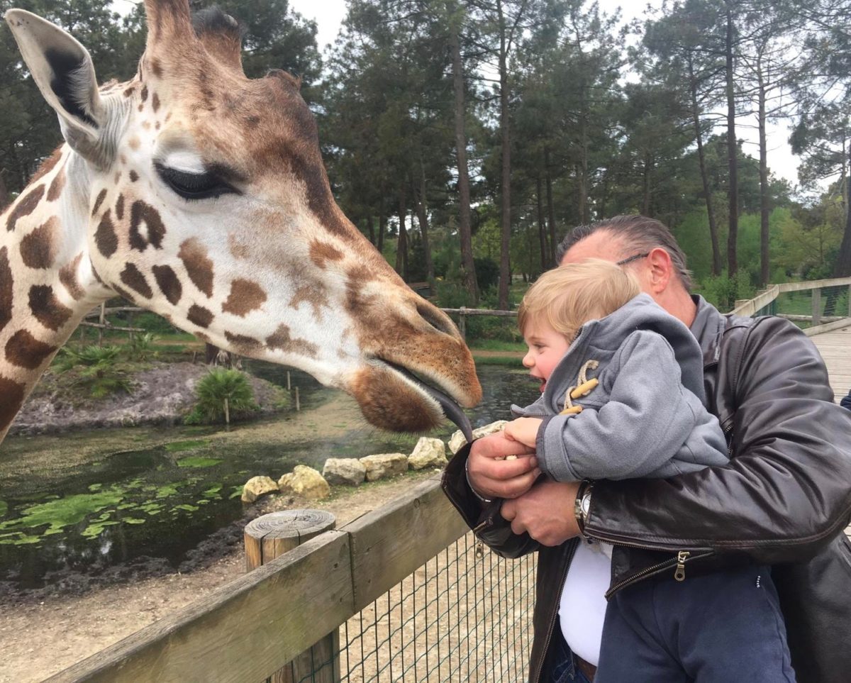 10 idées pour le printemps - zoo bassin darcachon à découvrir en famille - Bassin d'Arcachon