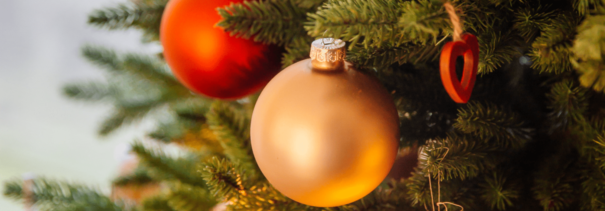 La magie de Noël sur le Bassin ! - Sans titre 2022 12 05T104646.827 - Bassin d'Arcachon