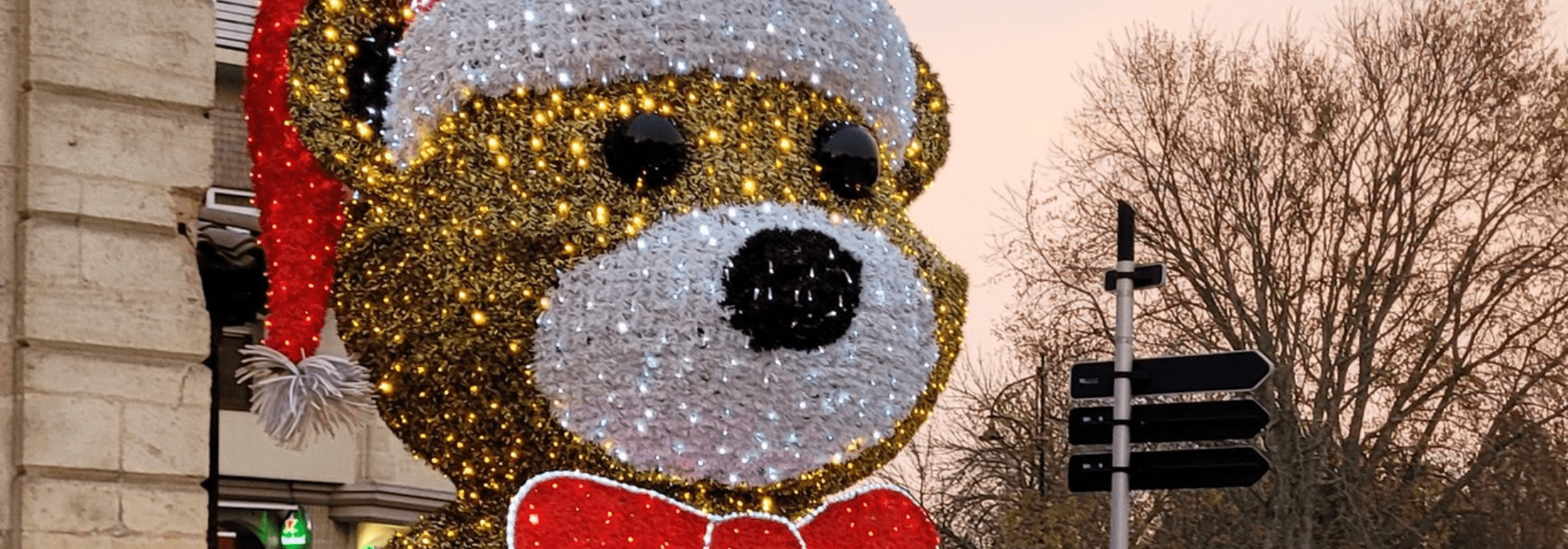 La magie de Noël sur le Bassin ! - Sans titre 2022 12 05T105755.595 - Bassin d'Arcachon