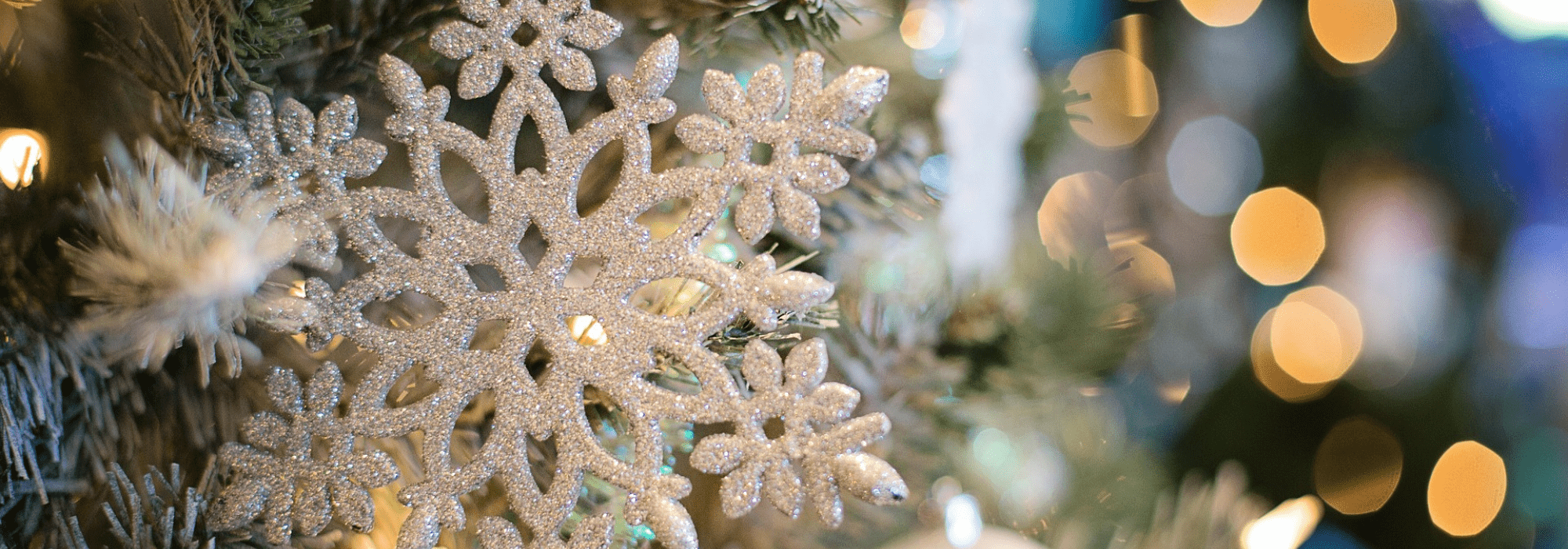 La magie de Noël sur le Bassin ! - Sans titre 2022 12 05T135303.971 - Bassin d'Arcachon