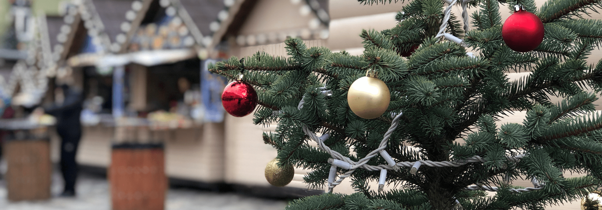 La magie de Noël sur le Bassin ! - Sans titre 2022 12 05T140911.820 - Bassin d'Arcachon