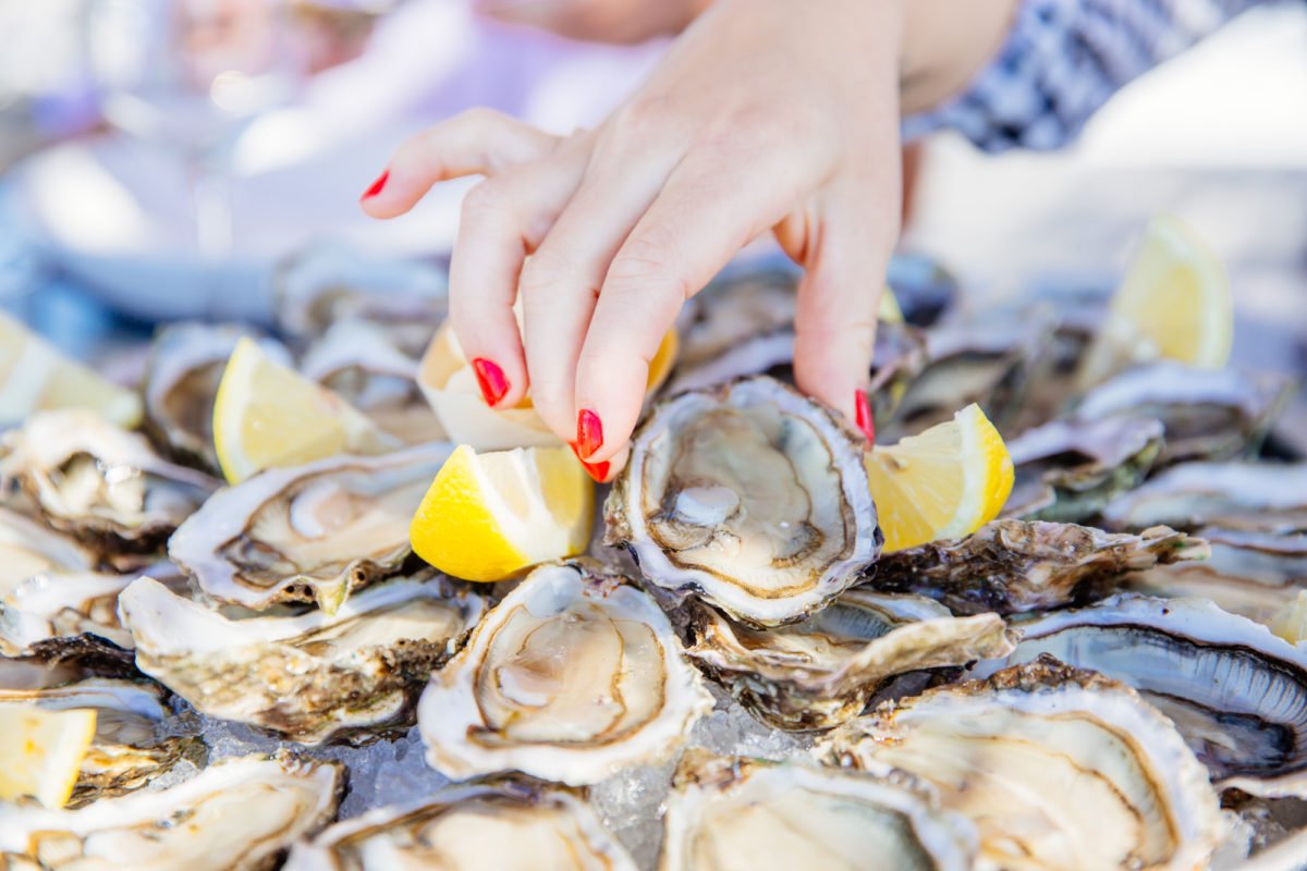 Huîtres d'Irlande : voyage entre le Bassin et l'Île Verte - andernos huitres SIBA agence les conteurs 35 - Bassin d'Arcachon