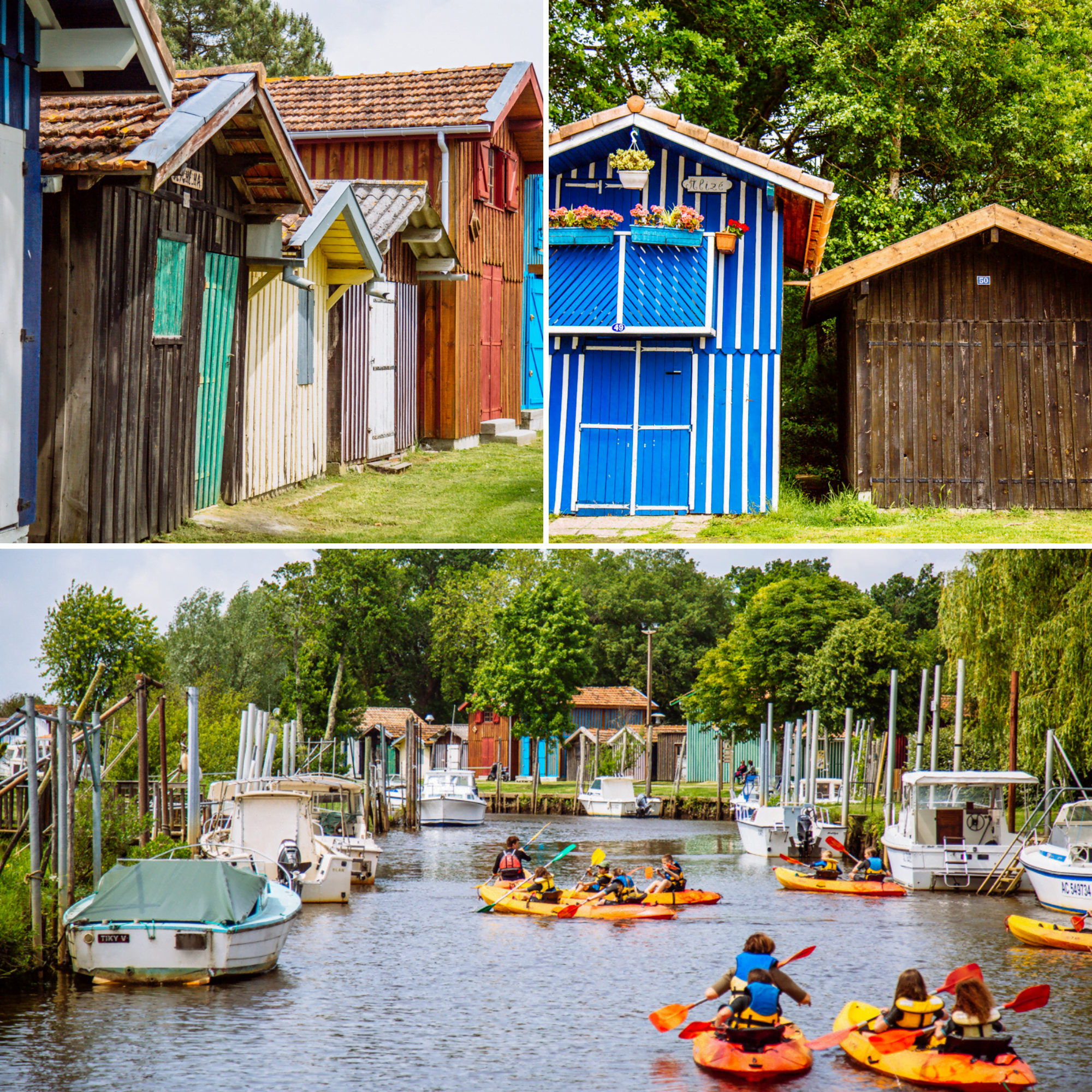 4 visites pour les aventuriers en herbe  - Design sans titre 34 - Bassin d'Arcachon