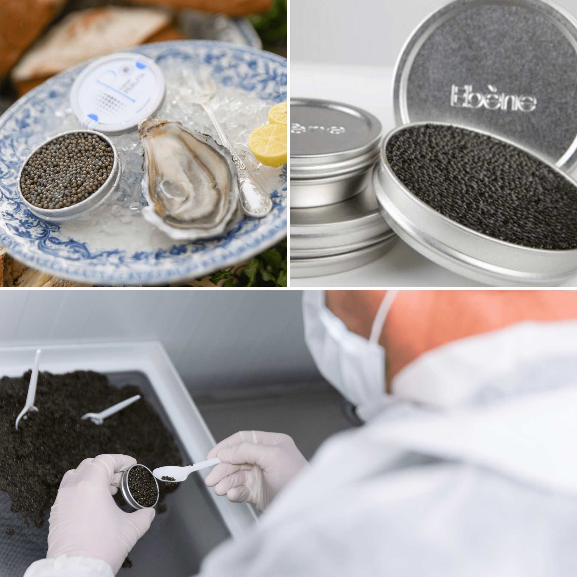 5 visites gourmandes du Bassin d’Arcachon - Design sans titre 35 - Bassin d'Arcachon