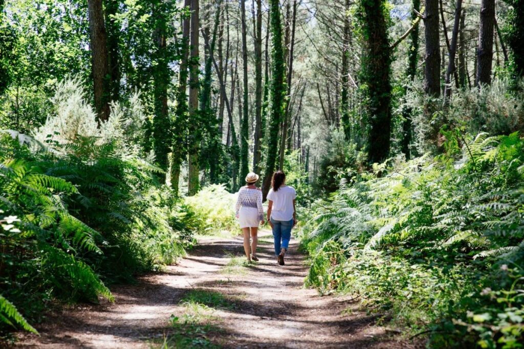 3 visites insolites pour redécouvrir le Bassin !