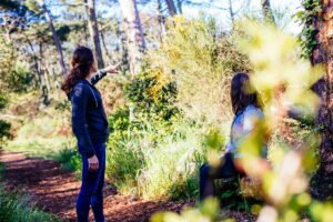 Arcachon, et ses petits coins secrets en une journée ! - foret dunaire camicas - Bassin d'Arcachon