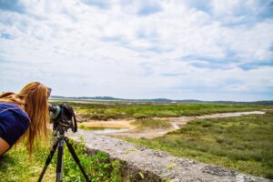 5 balades conseillées par notre guide nature - pres sales ares 4 - Bassin d'Arcachon