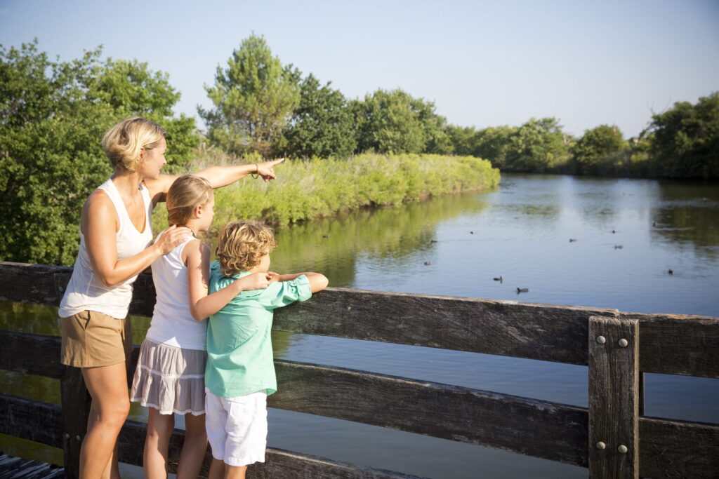 La Réserve Ornithologique du Teich