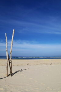 Les plages du Bassin d'Arcachon - Nouvelle photo Les plages 683x1024 1 - Bassin d'Arcachon