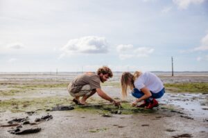 Les plages du Bassin d'Arcachon - Peche a pied Bassin dArcachon 1024x683 1 - Bassin d'Arcachon