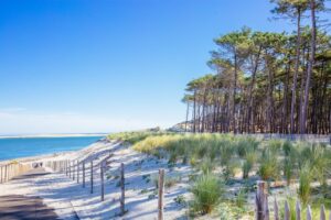 Les plages du Bassin d'Arcachon - Plages océanes Bassin Arcachon 1024x683 1 - Bassin d'Arcachon