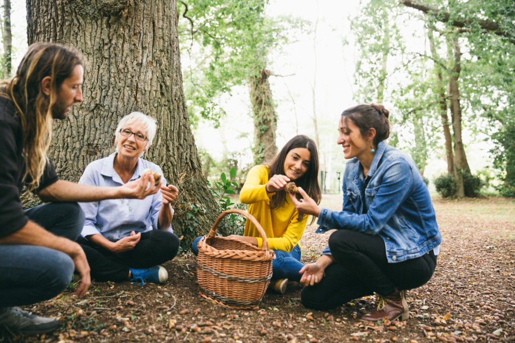 Arès - Ramasser les champignons en foret Bassin Arcachon 1024x683 1 - Bassin d'Arcachon