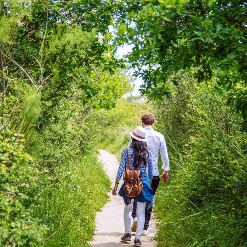 Les prés-salés d'Arès-Lège