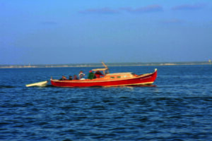 Suggestion de programme Codir - Balade en pinasse scaled - Bassin d'Arcachon