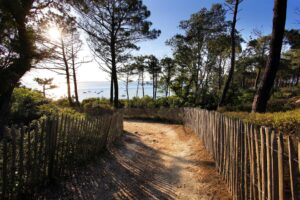 Offre séminaire printemps-été - arcachon - Bassin d'Arcachon