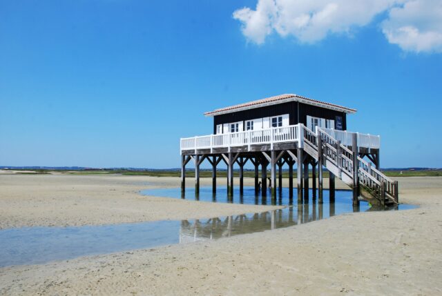 Les Cabanes tchanquées de l'île aux Oiseaux - cabanes tchanquées scaled - Bassin d'Arcachon