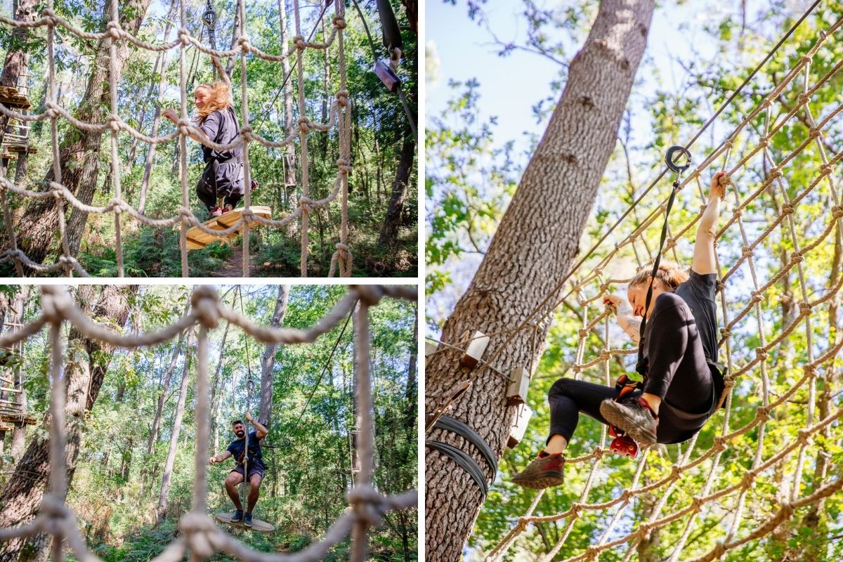 araignee accrobranche