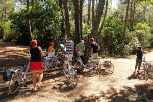 Suggestions d'incentive - découverte du patrimoine bassin darcachon - Bassin d'Arcachon