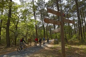 Suggestions d'incentive - découverte du patrimoine vélo - Bassin d'Arcachon