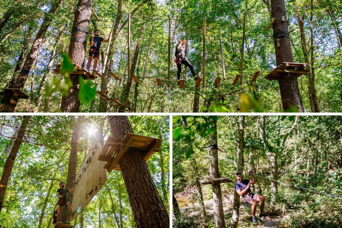 tyrolienne accrobranche