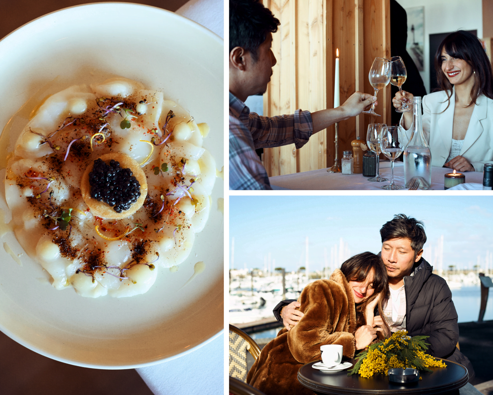 D'amour et de mimosas - Sans titre 17 - Bassin d'Arcachon