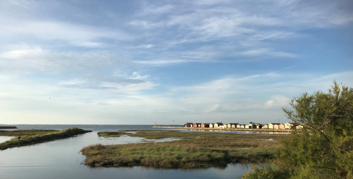 Détox et télétravail - Sans titre 30 - Bassin d'Arcachon