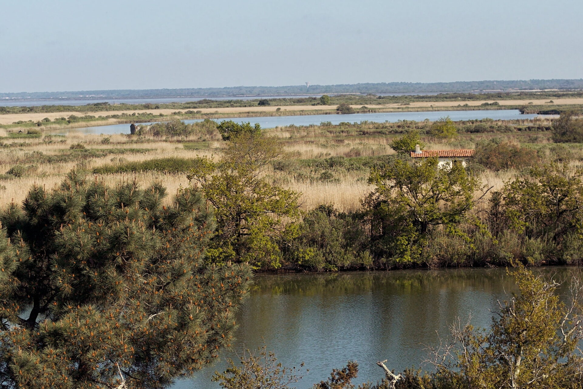 Escapade printanière mère-fille - WILD2 - Bassin d'Arcachon