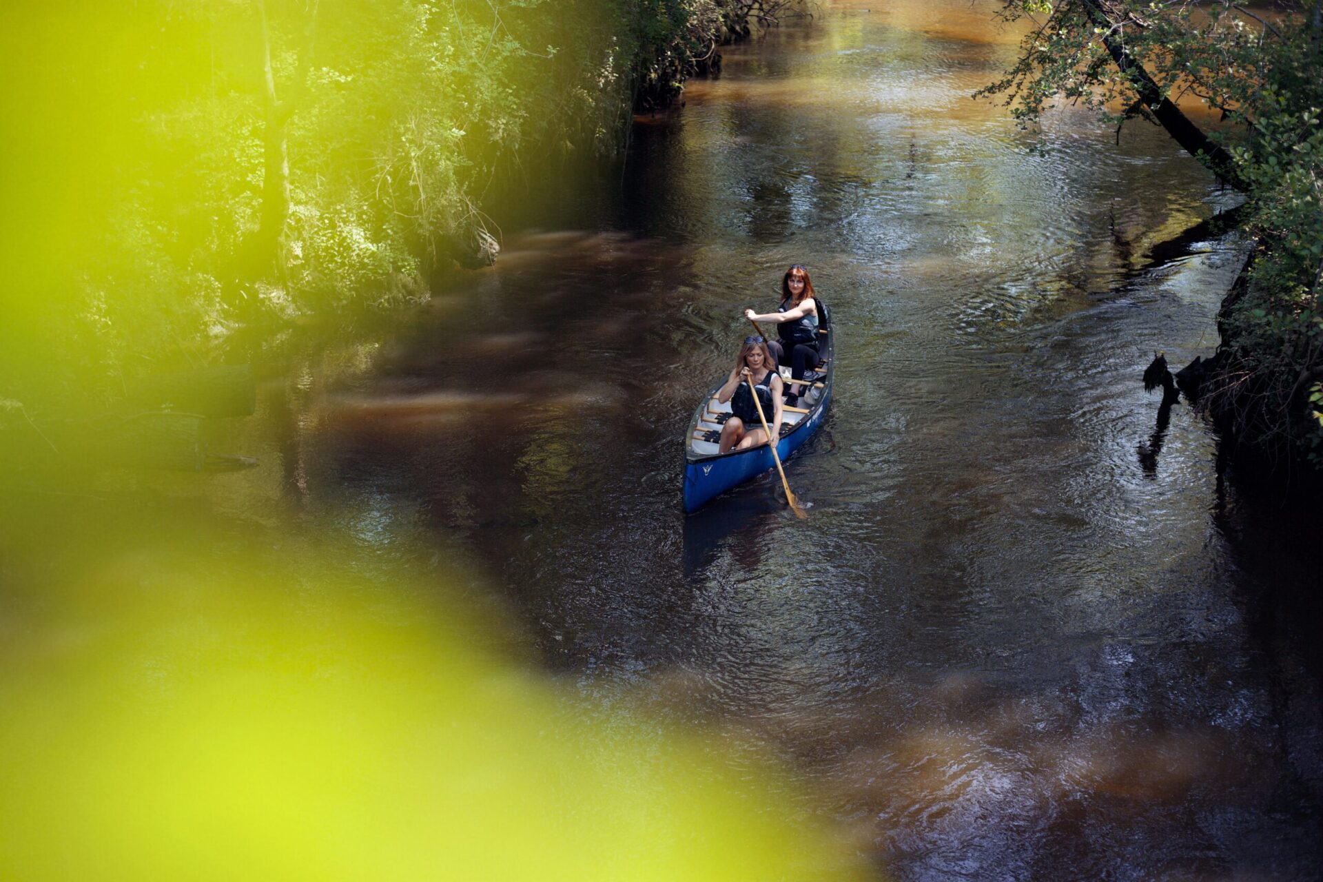 Immersion sauvage - GREEN4 scaled - Bassin d'Arcachon