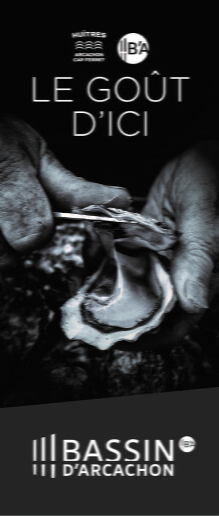 50 nuances d&rsquo;huîtres