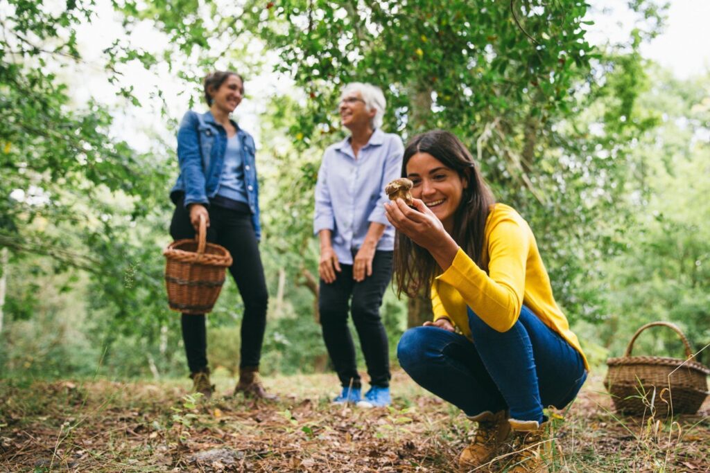 De la forêt à l&rsquo;assiette