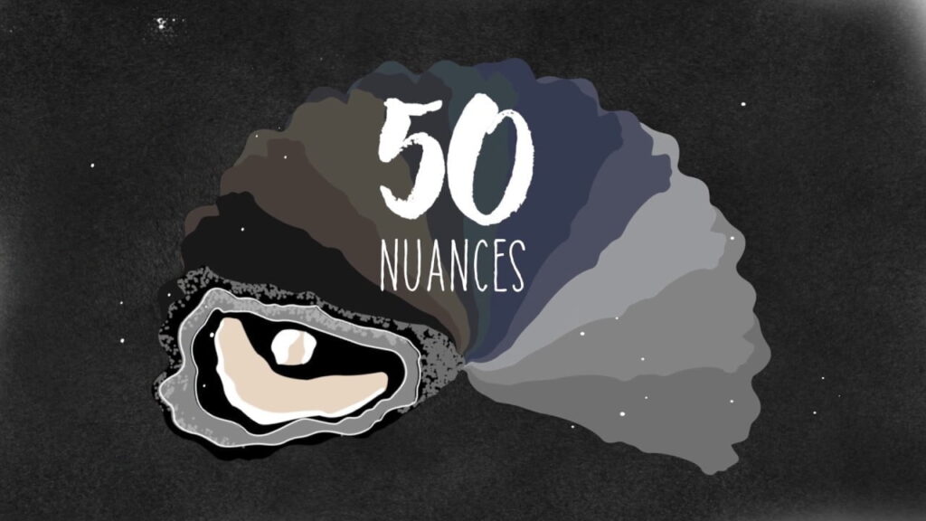 50 nuances d'huîtres - 50 nuances dhuitres bassin darca - Bassin d'Arcachon