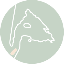 Les incontournables - MiniCartes Banc dArguin - Bassin d'Arcachon