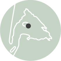 Les incontournables - MiniCartes Cabanes - Bassin d'Arcachon