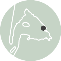 Les incontournables - MiniCartes Domaines Certes - Bassin d'Arcachon