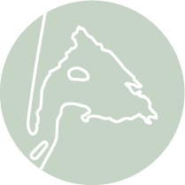 Les incontournables - MiniCartes Marches - Bassin d'Arcachon