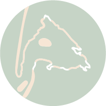 Les incontournables - MiniCartes Plages - Bassin d'Arcachon