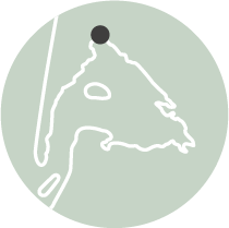 Les incontournables - MiniCartes Pres sales - Bassin d'Arcachon