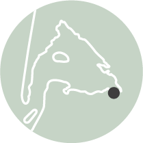 Les incontournables - MiniCartes Reserve ornitho - Bassin d'Arcachon